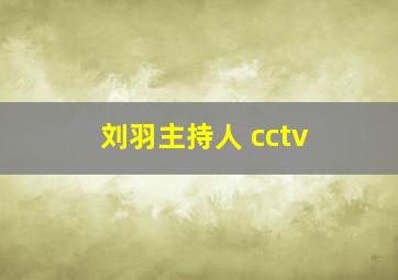 刘羽主持人 cctv